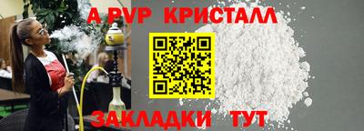 шишки Камышлов