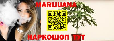 шишки Камышлов