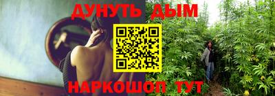 шишки Камышлов
