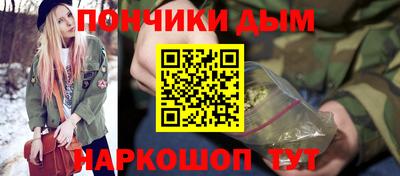 шишки Камышлов