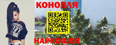 шишки Камышлов