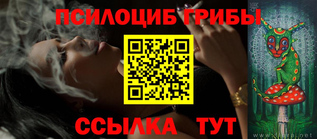 Ленинск-Кузнецкий  Галлюциногенные грибы Psilocybine cubensis  Вход с VPN  Псилоцибиновые грибы Psilocybe 